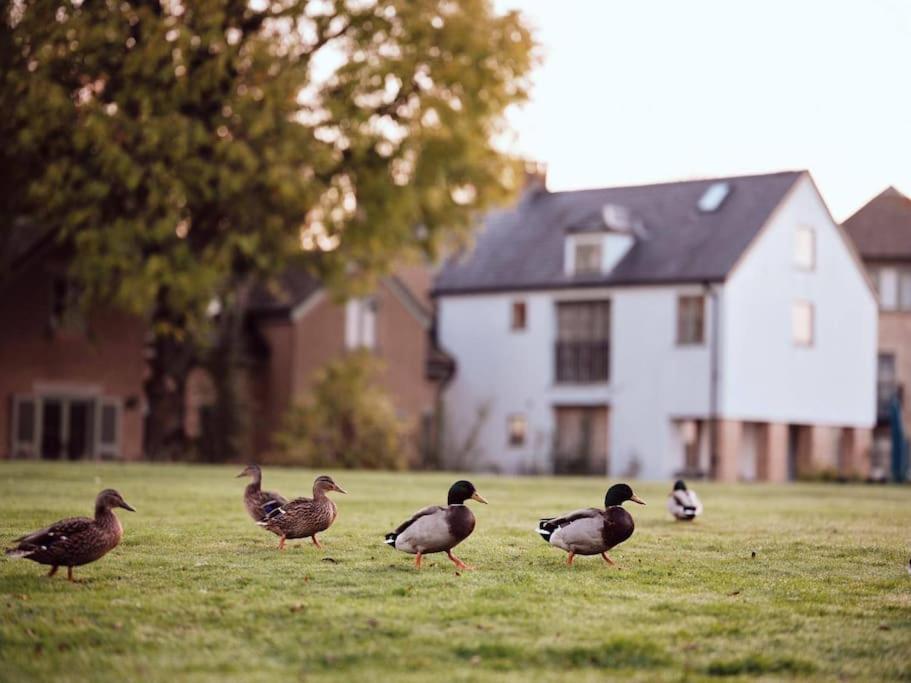 Castleford Cottage , Lowermill Estate Somerford Keynes Luaran gambar